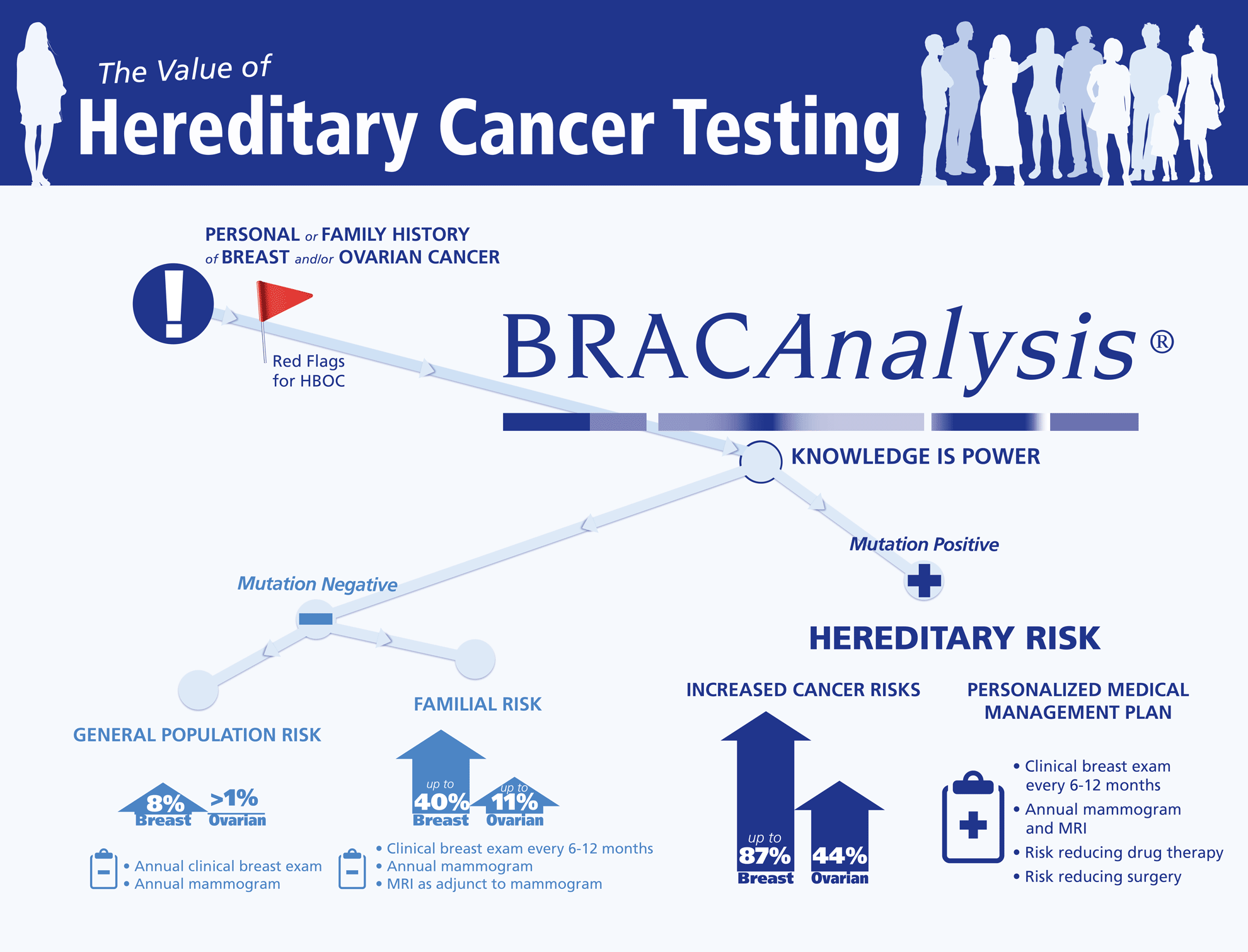 BRACAnalysis info graphic