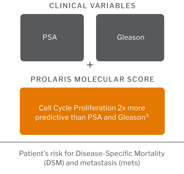 clinical variables graphic