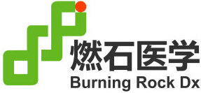 Burning Rock Dx logo